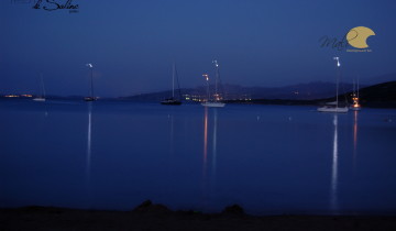 Golfo Delle Saline, Palau